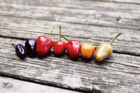 Grow Your Own Peppers